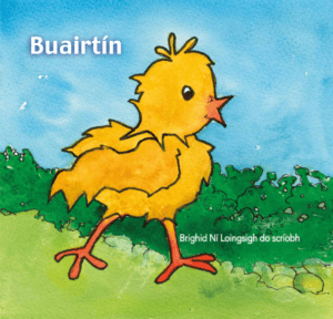 Buairtín